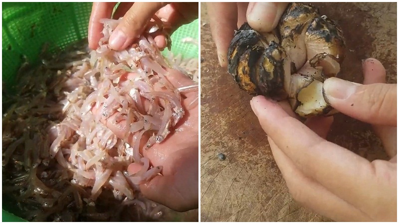 cách làm mắm nêm ác cơm nguyên con